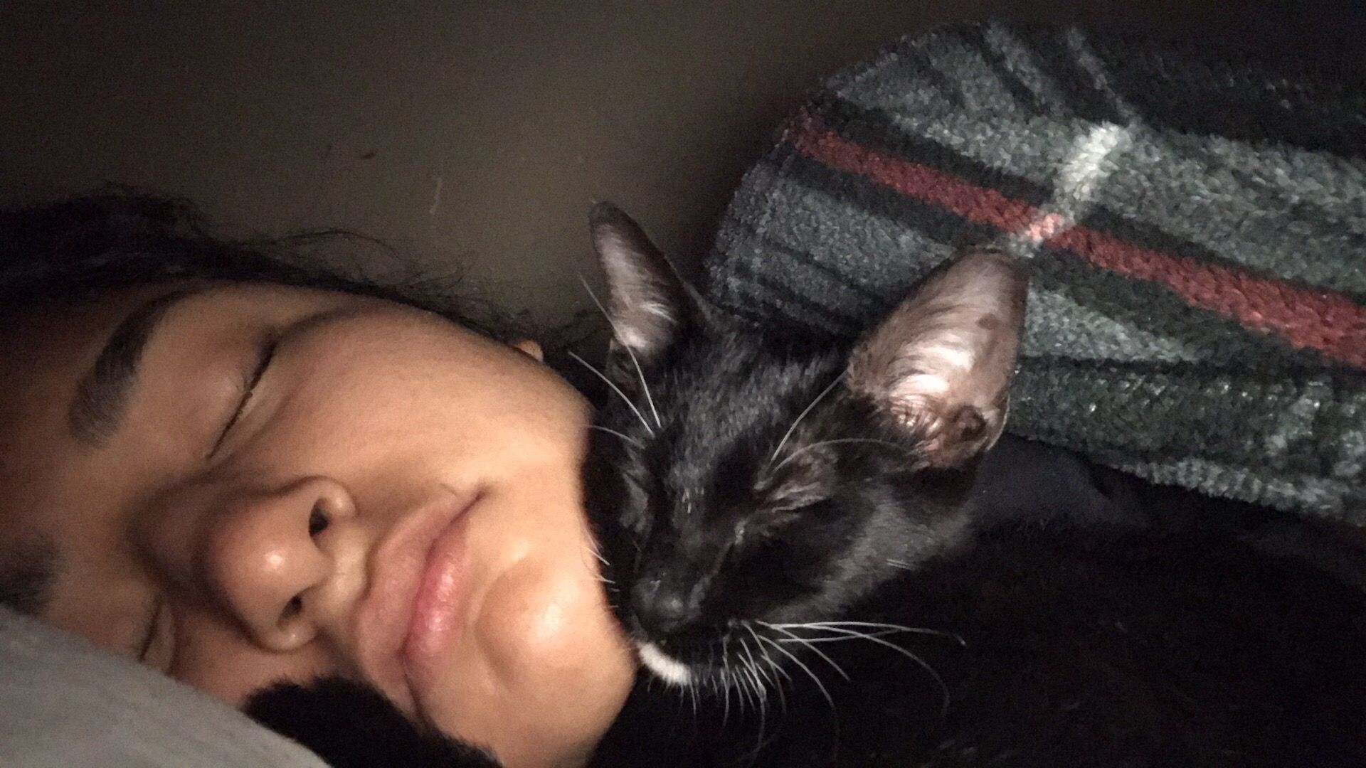 Cat selfies: The only way she sleeps
